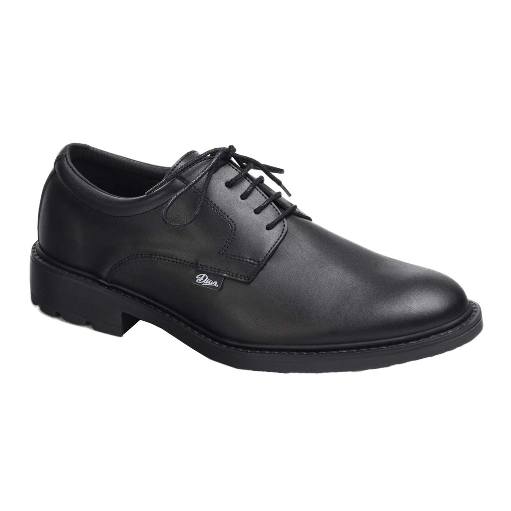 Zapato Francia