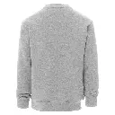 13783_13001_R.webp